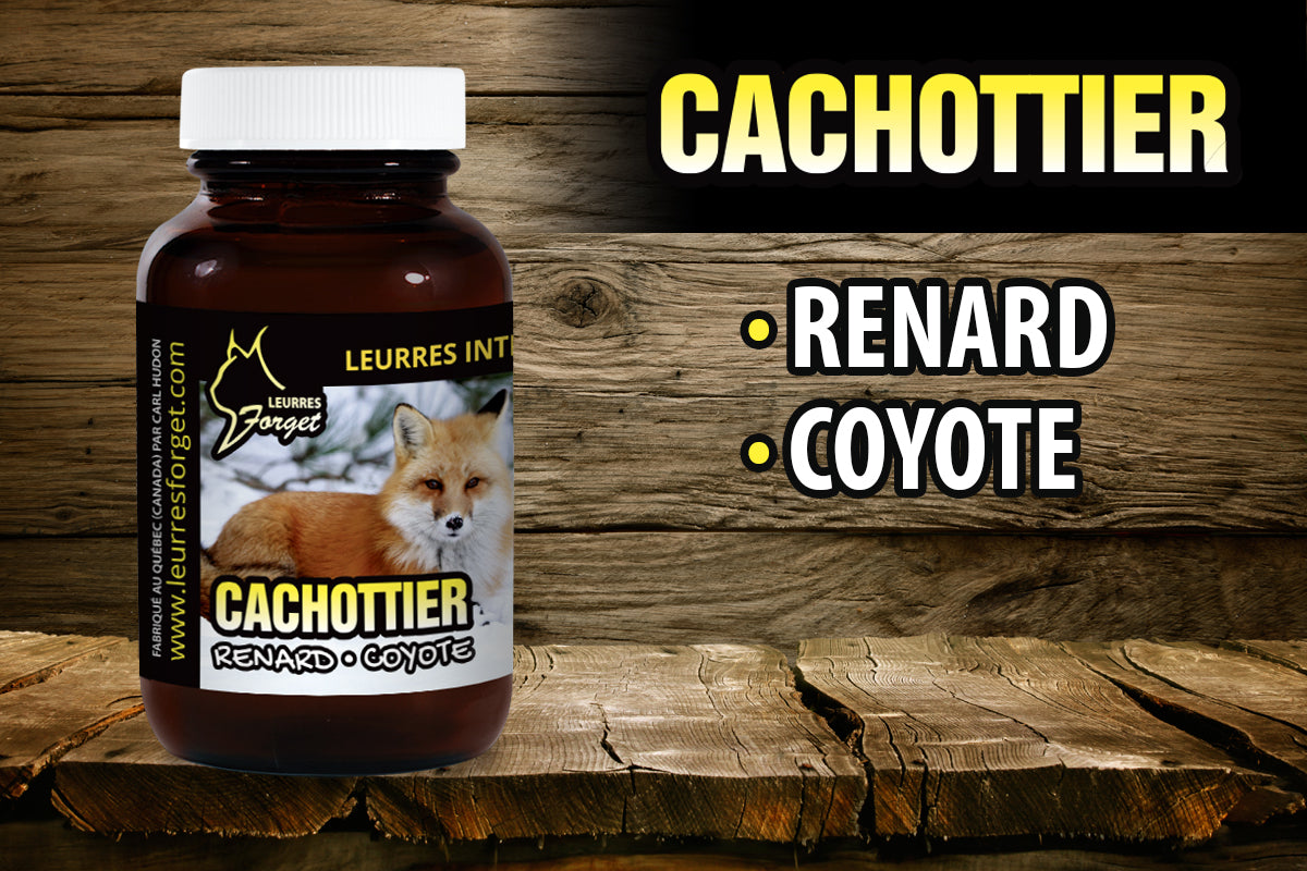 Cachottier