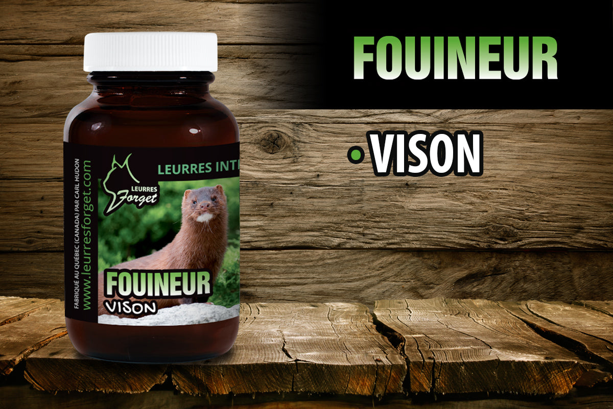 Fouineur