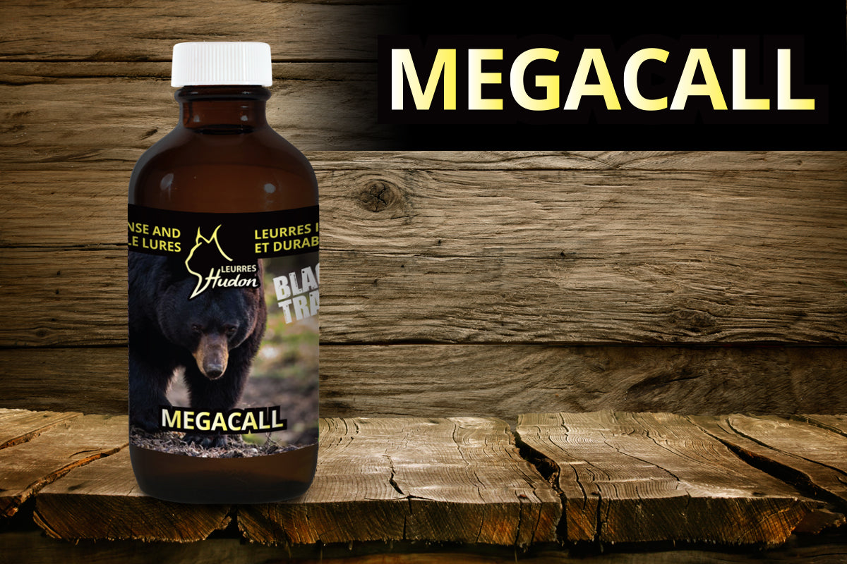 MégaCall