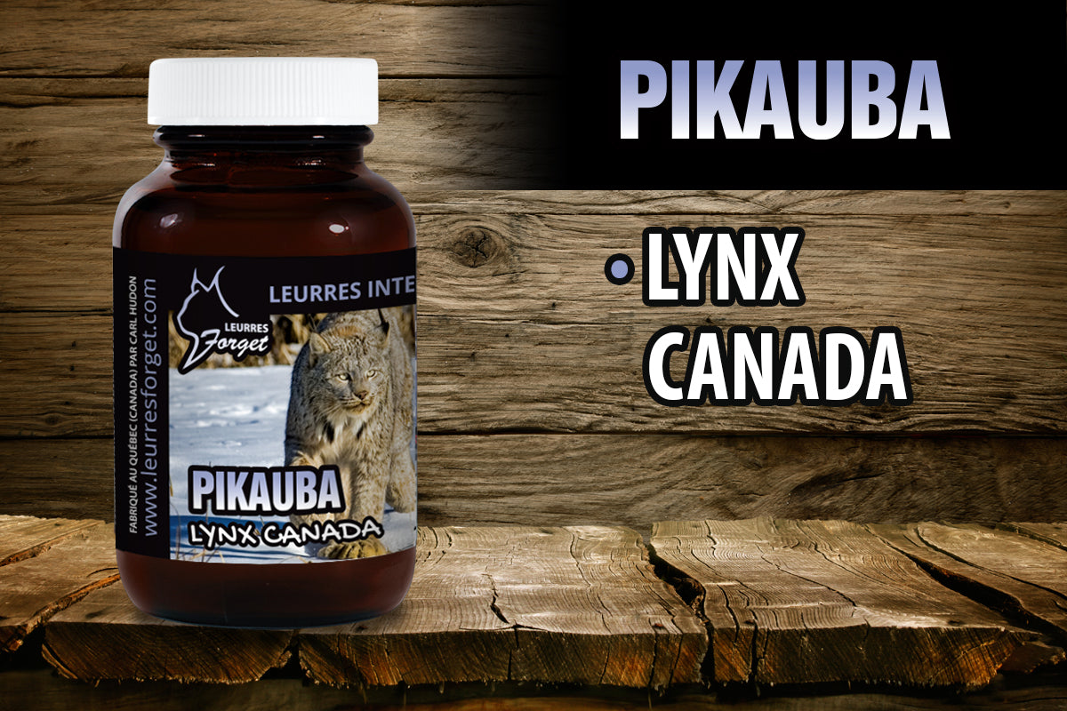 Pikauba