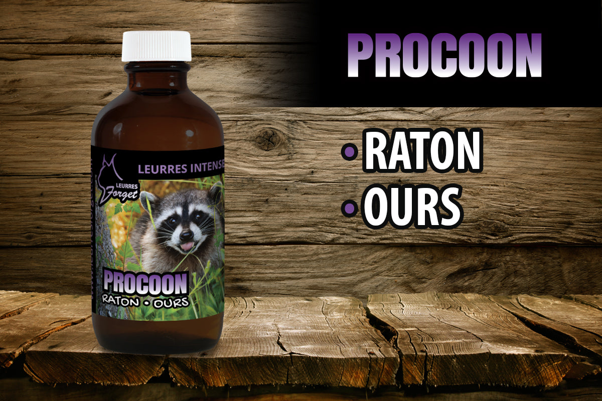 Procoon