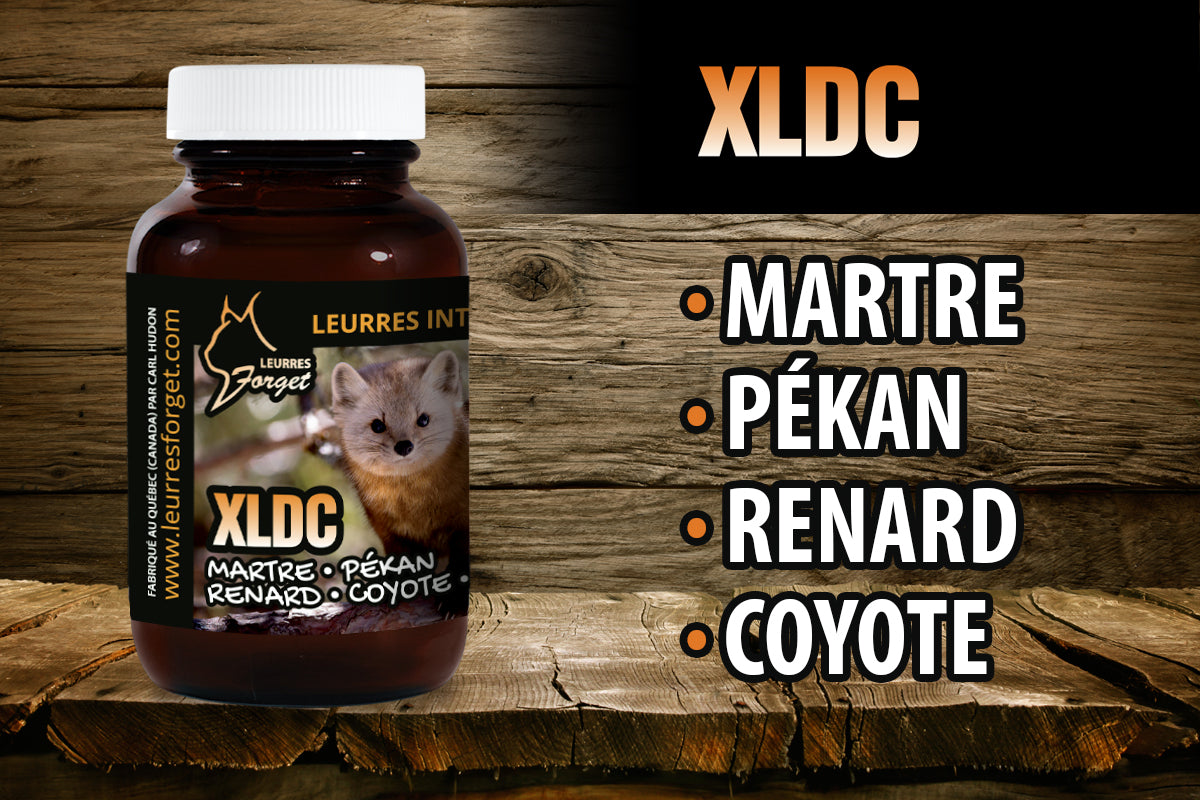 XLDC